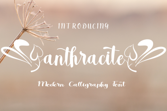 Anthracite: A Whimsical Script Font That Feels Like a Sigh of Relief