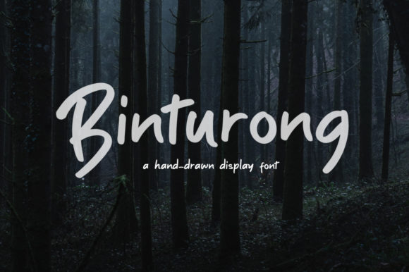 Binturong: A Playful Script Font for Editorial Warmth