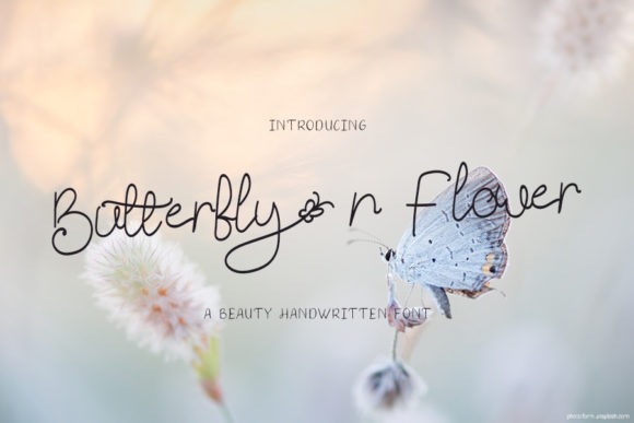 Butterfly N Flower Font Review