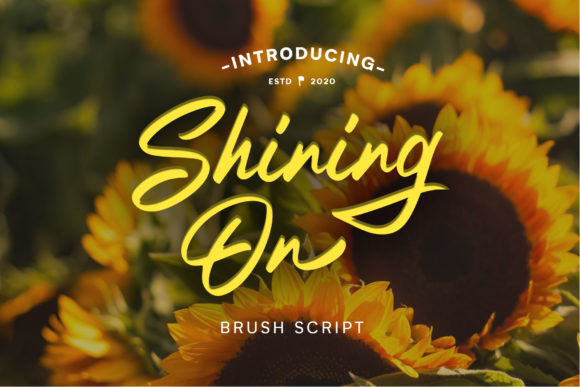 Shining on: A Handwritten Script Font That Earns Its Glow